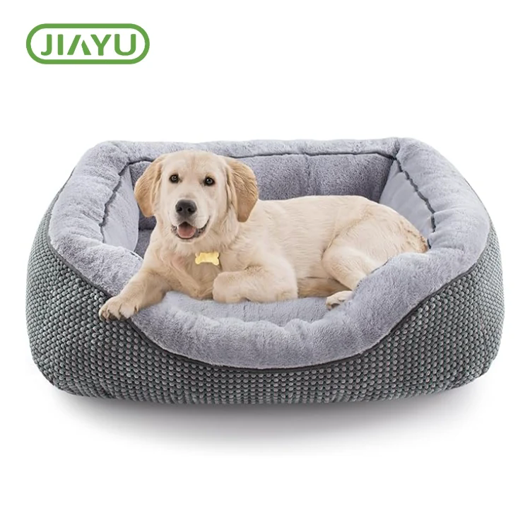How to Choose the Best Camping Pet Bed?