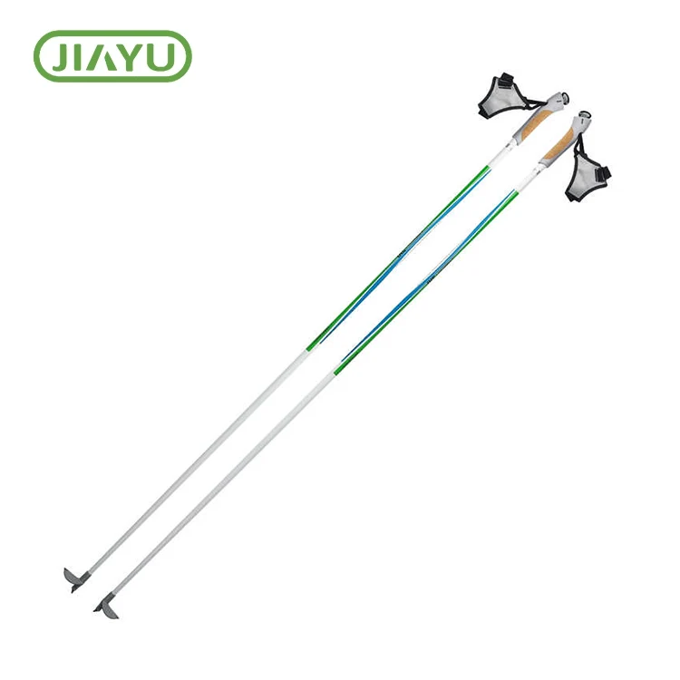 Ski vectes nix montis
